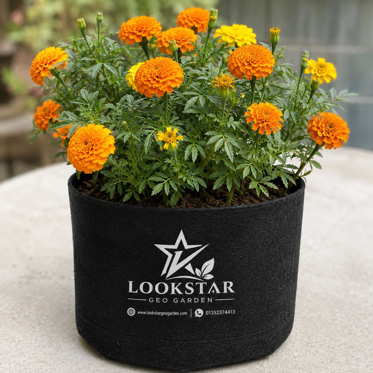 Nursery Tubs - 300 Gsm- Black , Size -L 8 X W 8 Inch
