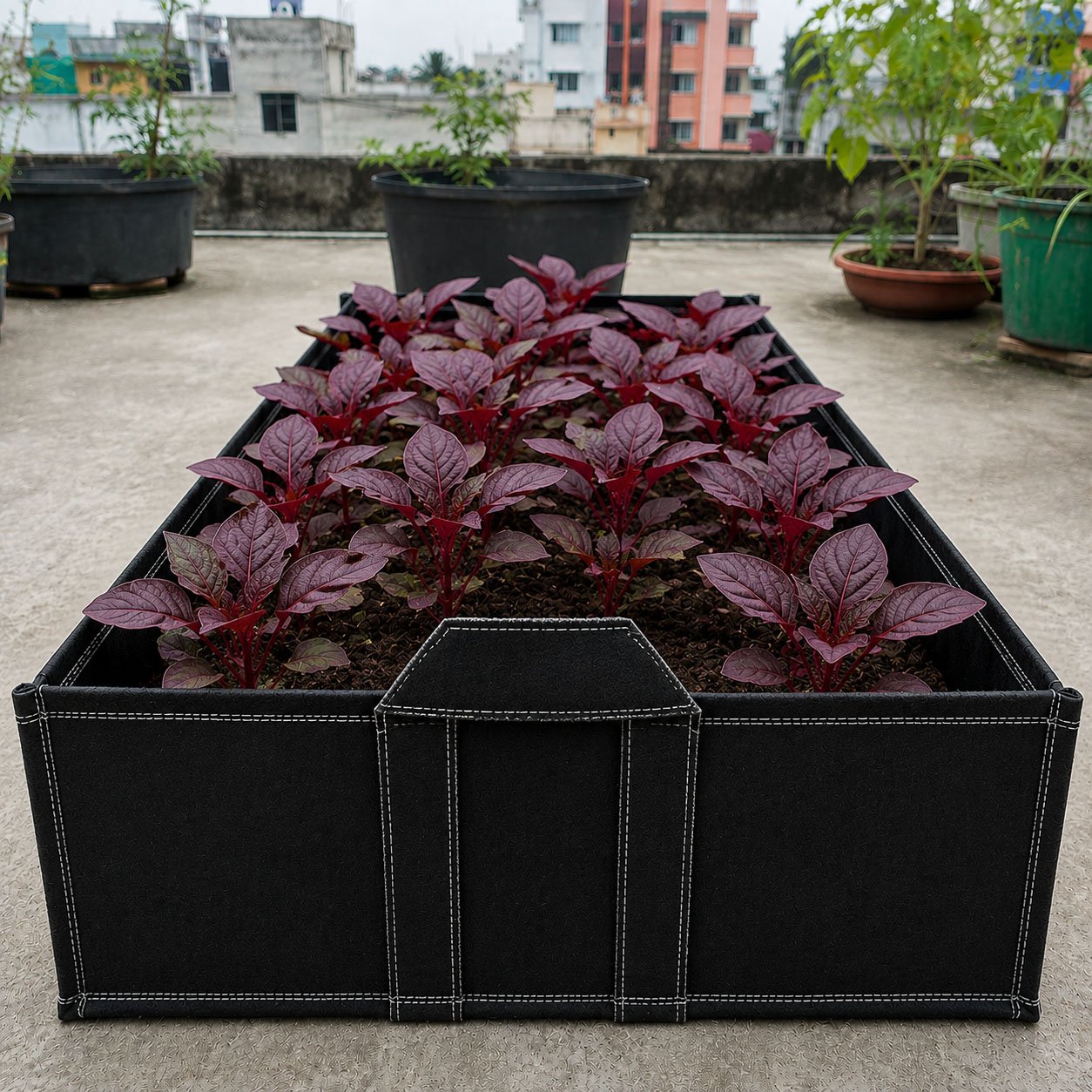 Square Large Vegetale Bed 300 Gsm , Black, Size - L 84 X W 25 X H10 Inch