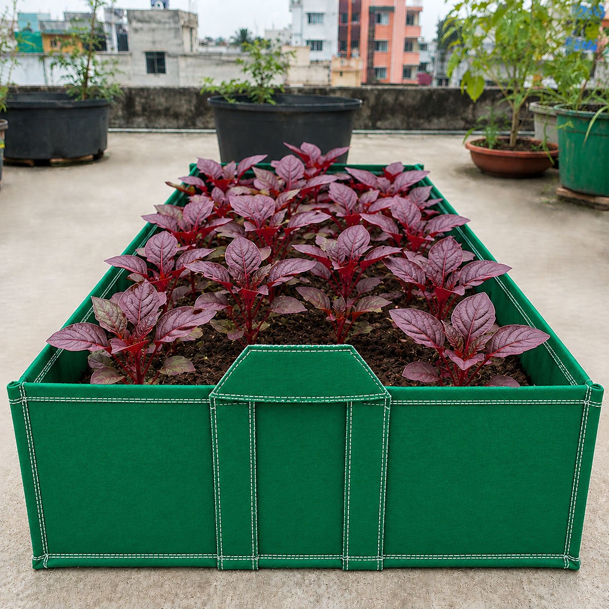 Square Large Vegetale Bed 500 Gsm , Green, Size - L 84 X W 25 X H10 Inch