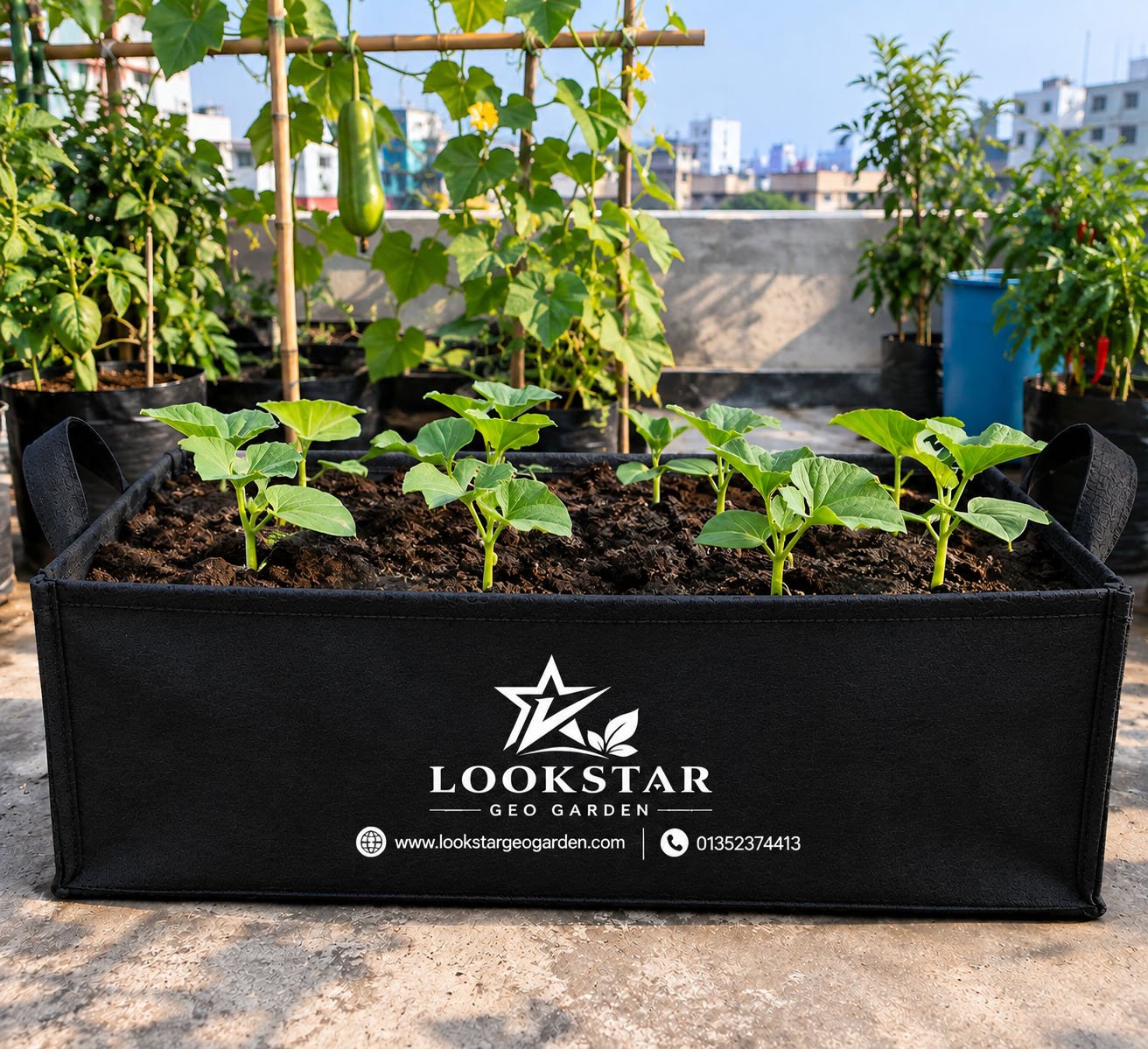Square Small Vegetale Bed 300 Gsm , Black Size - L 36 X W 12 X H 8 Inch
