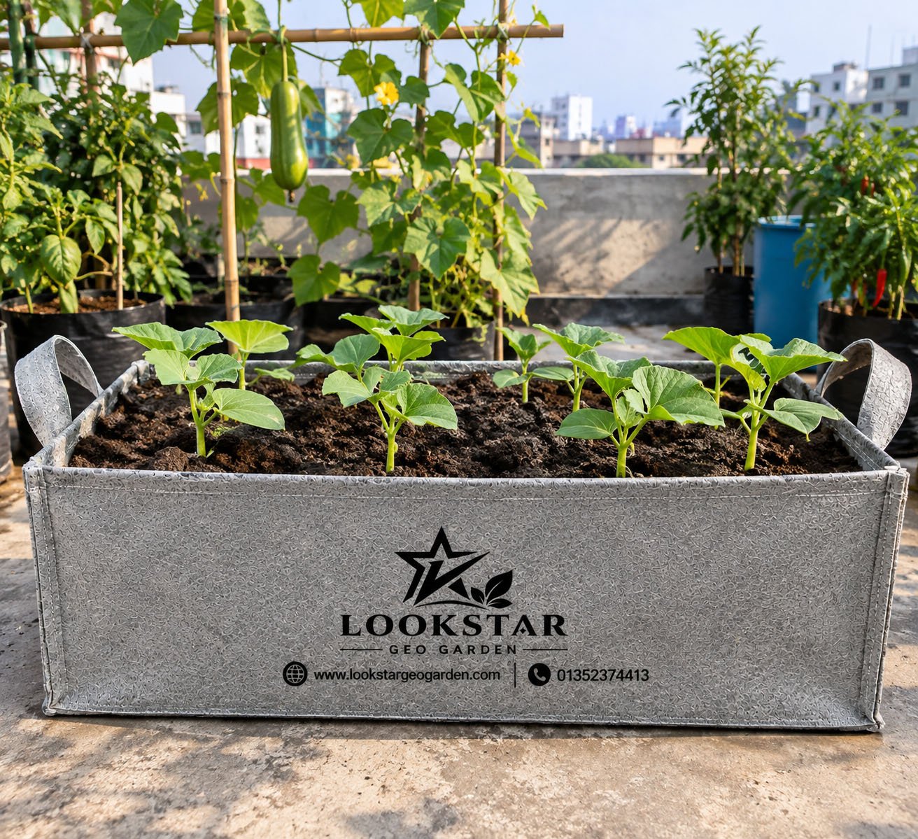 Square Small Vegetale Bed 600 Gsm , Grey , Size - L 36 X W 12 X H 8 Inch